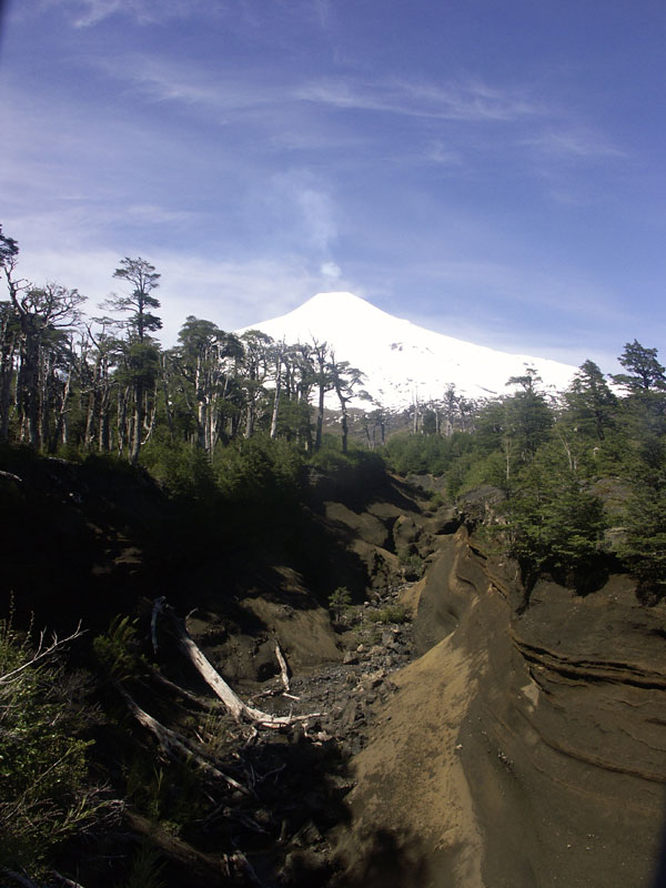 Vue vers le volcan, depuis les rives d'un lahar
