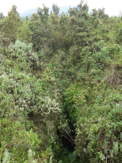 Fissure éruptive de 2002 (la même qu'en 1977)