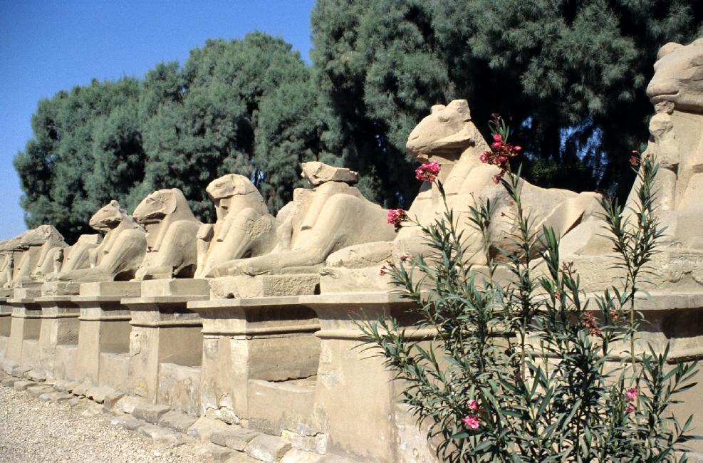 La voie processionnelle, qui descendait jusqu'au Nil