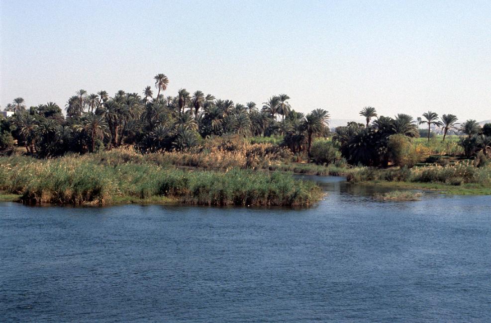 Les rives du Nil : un oasis de verdure dans le désert