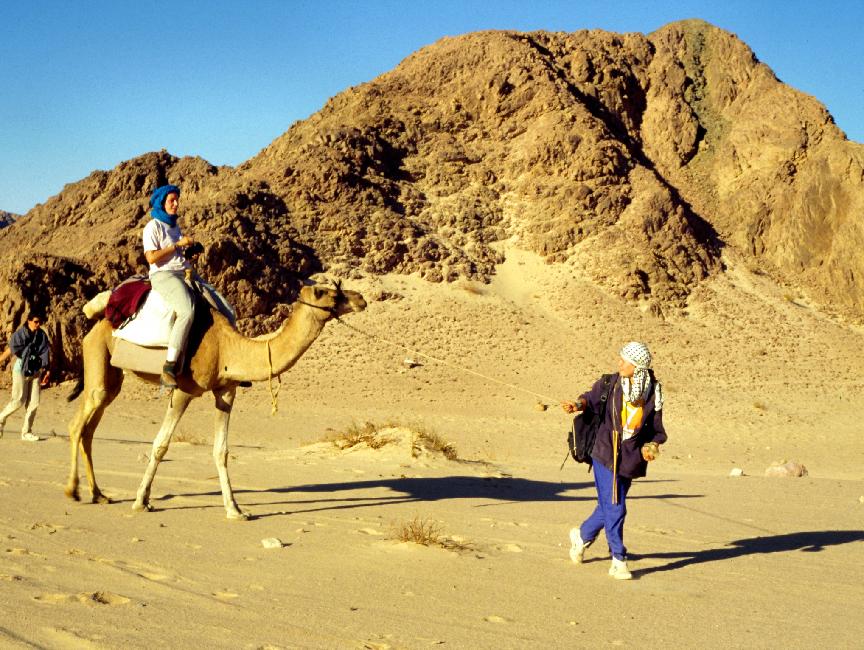 Balade dans le Sinaï