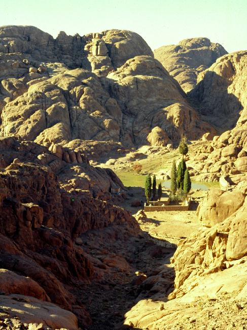 Oasis pendant l'ascension du Mont Moïse