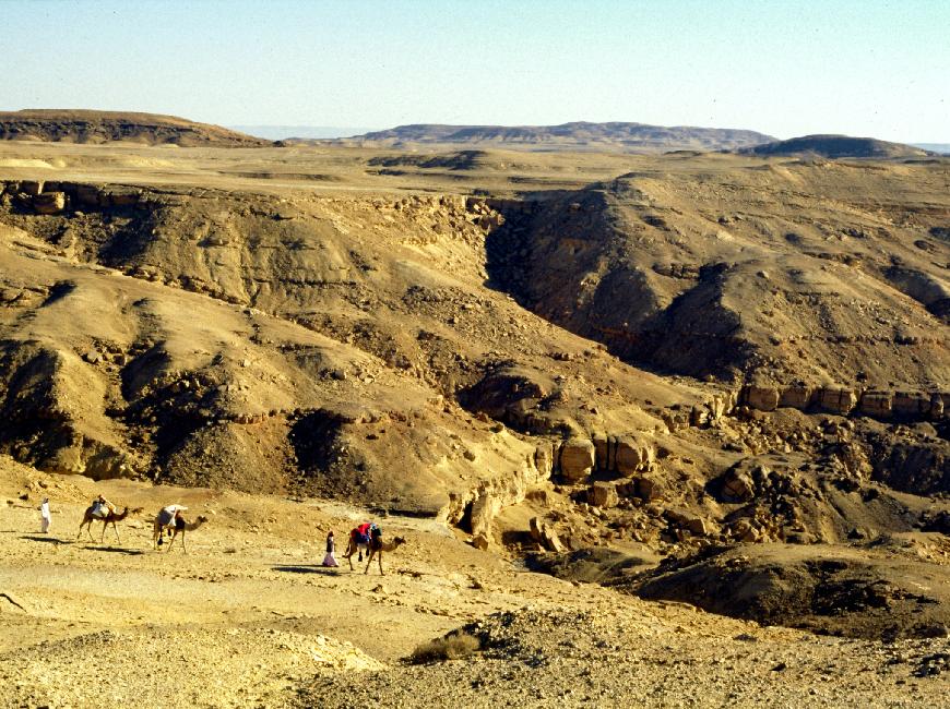 Passage de la caravane sur le plateau caillouteux