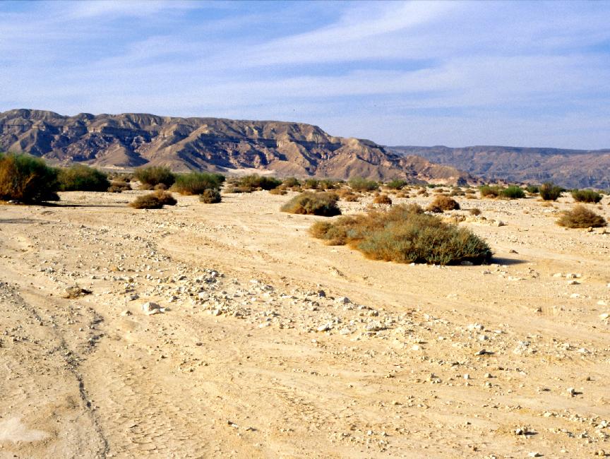 Nous avons rejoint une vallée sableuse que nous suivrons pendant deux jours