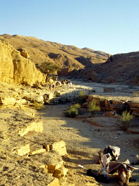 Nous quittons le lieu du pique-nique