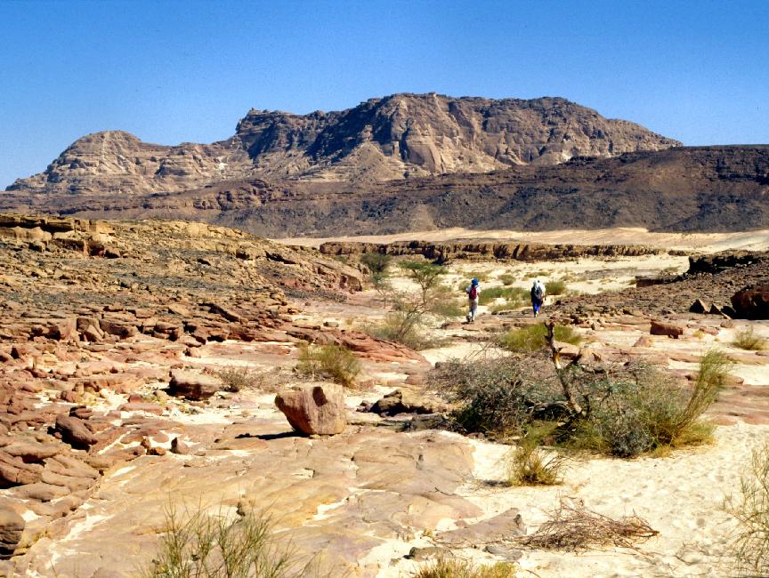 Paysage, vers le canyon