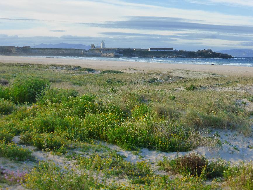 Tarifa ; l'île de Tarifa (côté Atlantique)