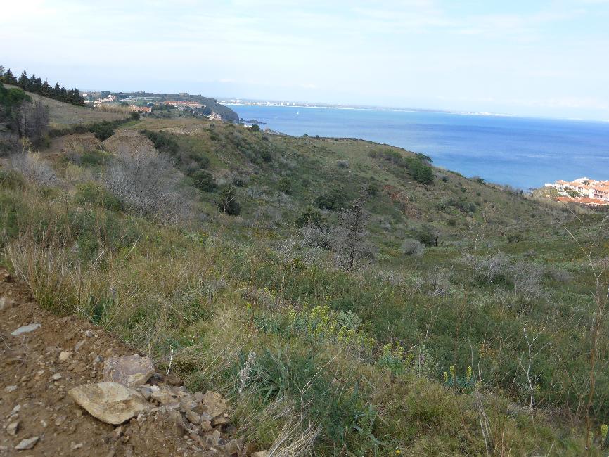 Balade entre Collioure et Port Vendre