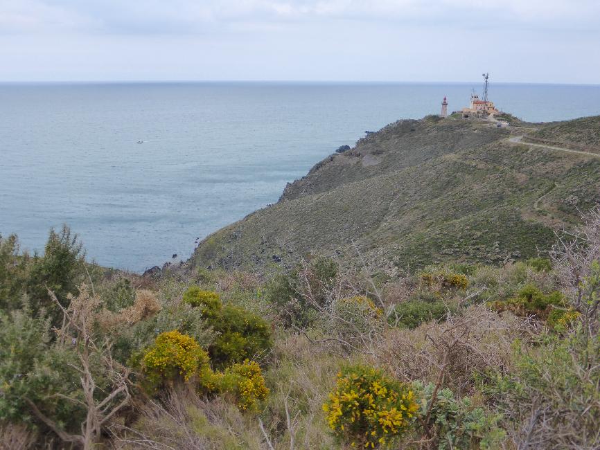 Port Vendre ; phare de Cap Bear