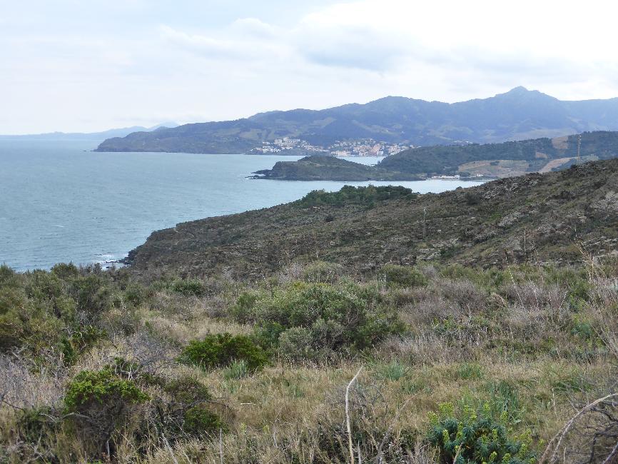 Port Vendre ; vue vers Banyuls