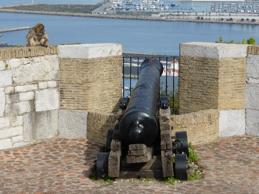 Gibraltar ; chateau des maures ; macaque veillant sur la ville