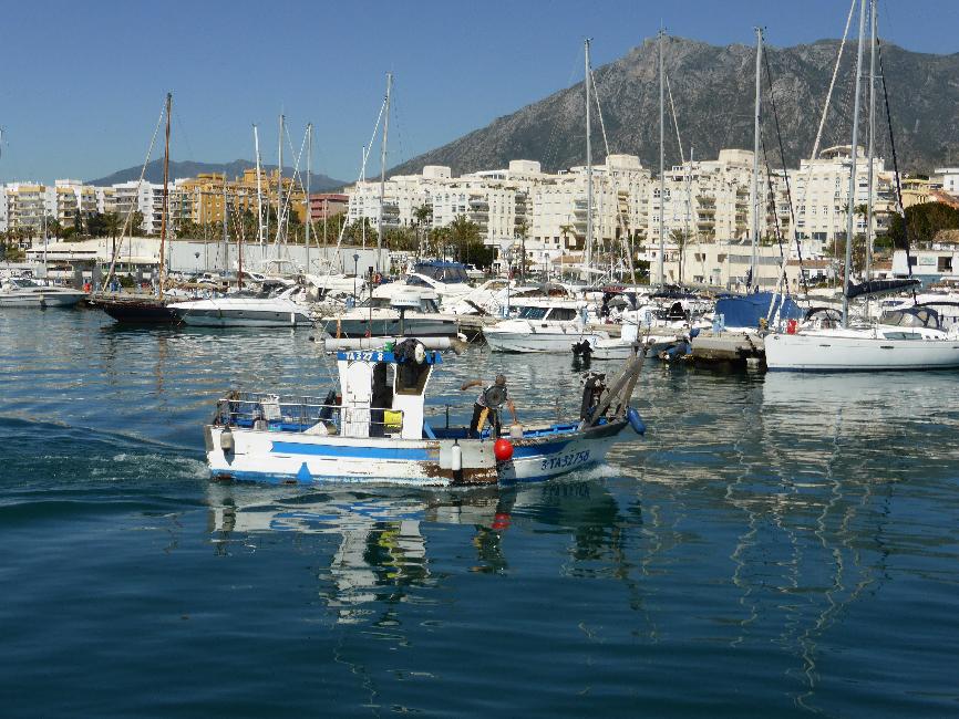 Marbella ; le port