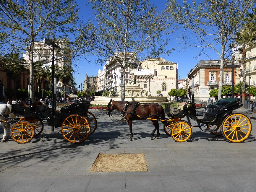 Calèches en attente de clients