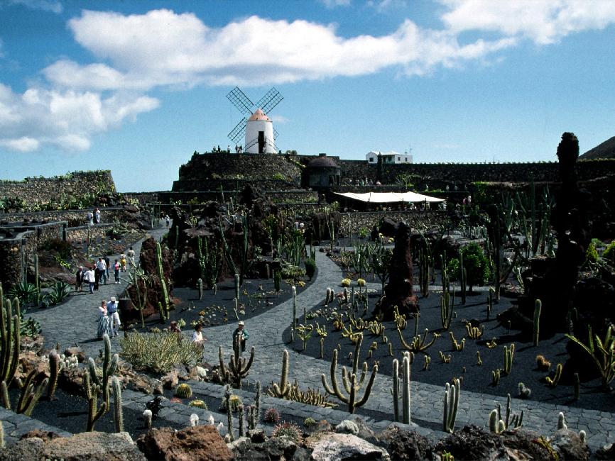 Jardin de cactus de Guatiza ; vue générale 