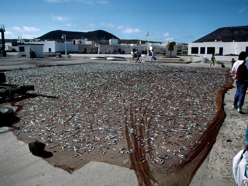 Le port de Caleta del Sebo (île de Graciosa) 