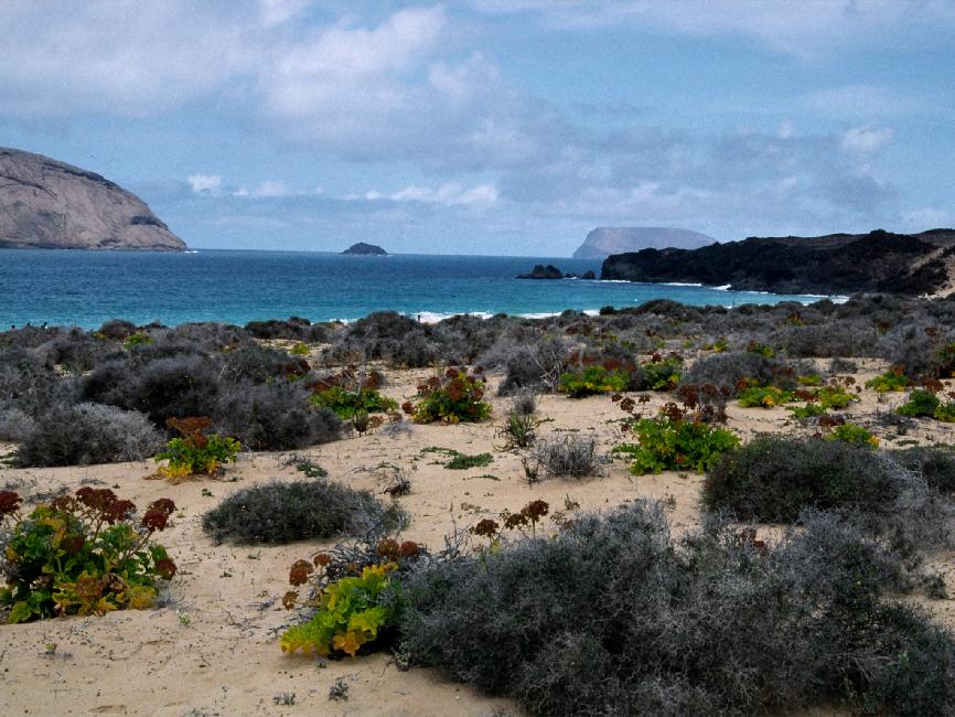 Plage Nord de Graciosa 