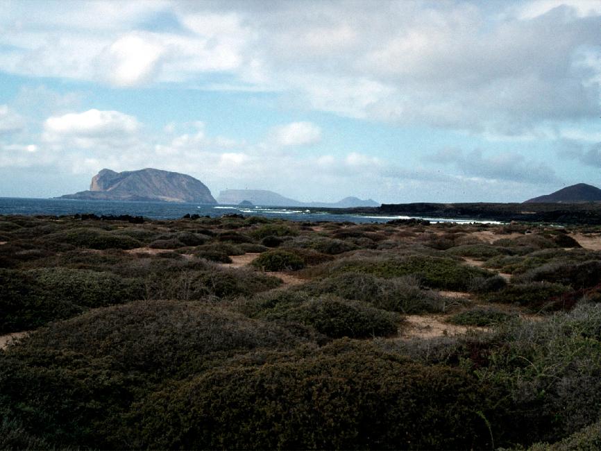Côte Ouest de Graciosa 