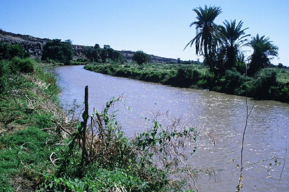 Les rives de la rivière Awash : un oasis luxuriant...