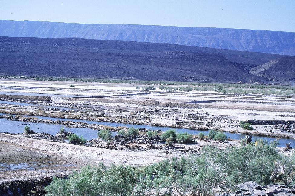 Exploitation de sels