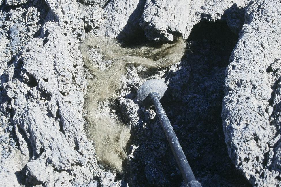 Mèche de cheveux de Pelée