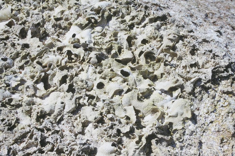 Concrétions dûes à la sublimation des fumerolles