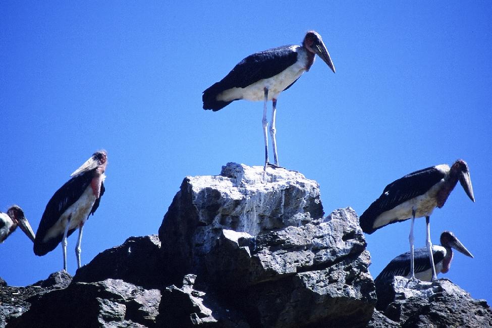 Bloqués à Ayssaita