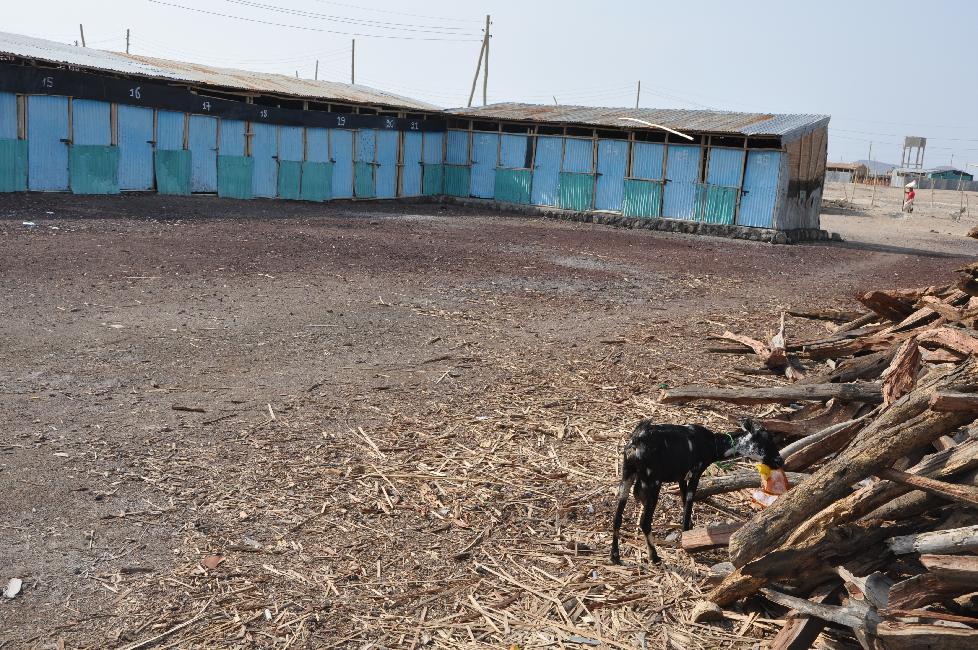 Hôtel local, à Afdera