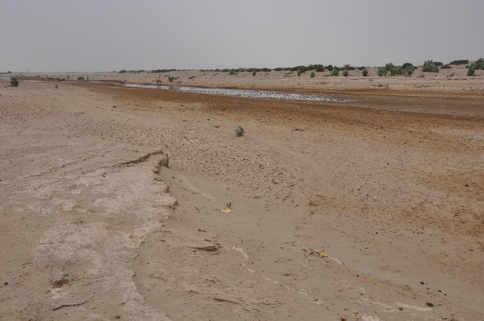 Point d'eau dans le désert du Danakil
