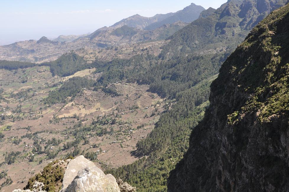 Route d'Addis Abeba à Kombolcha ; col de Tarma Ber
