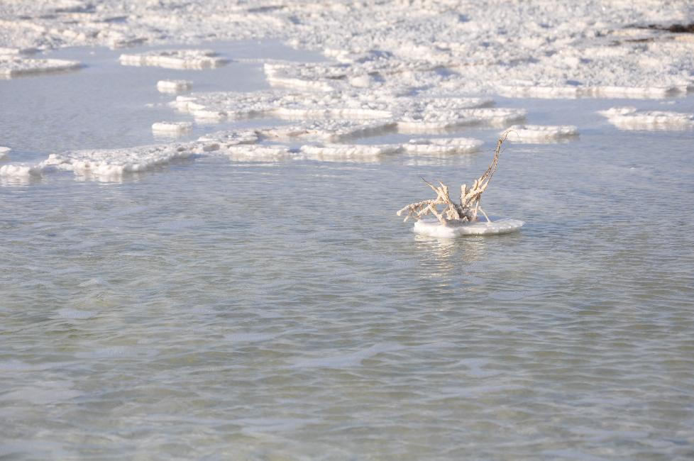 Lac Karoum ; mares d'eau