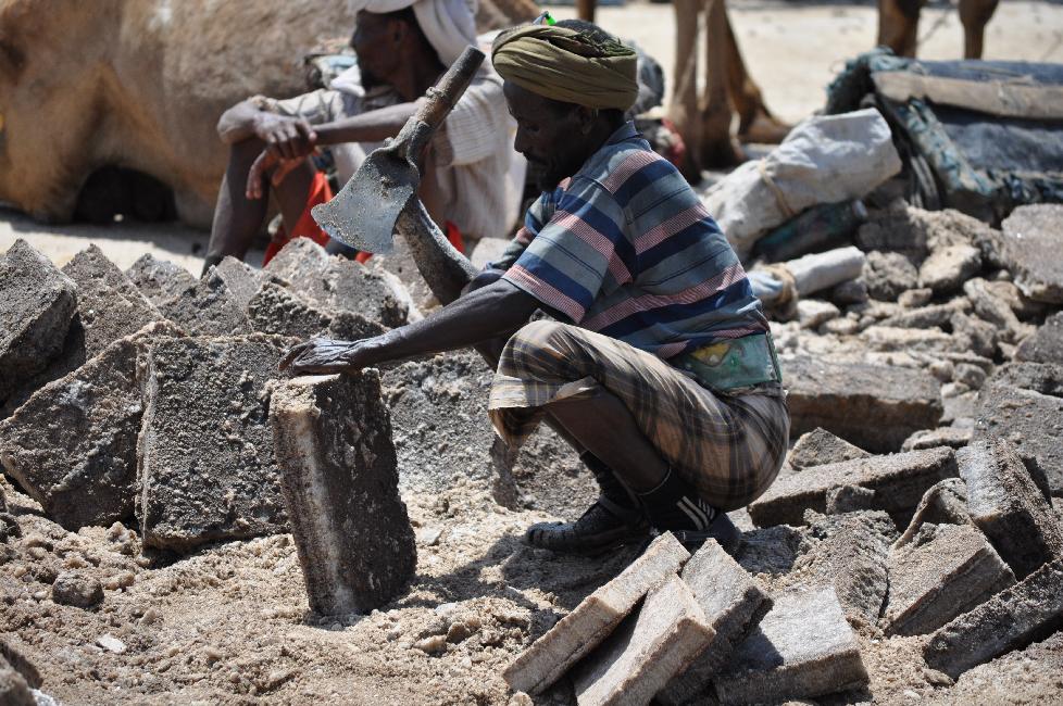 Lac de Karoum ; taille d'une brique de sel