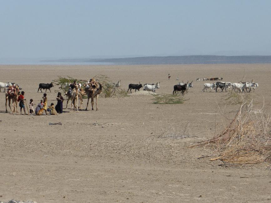 Nomades, sur la piste