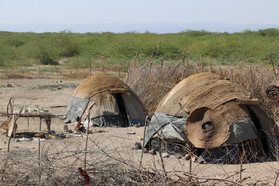 Campement de nomades