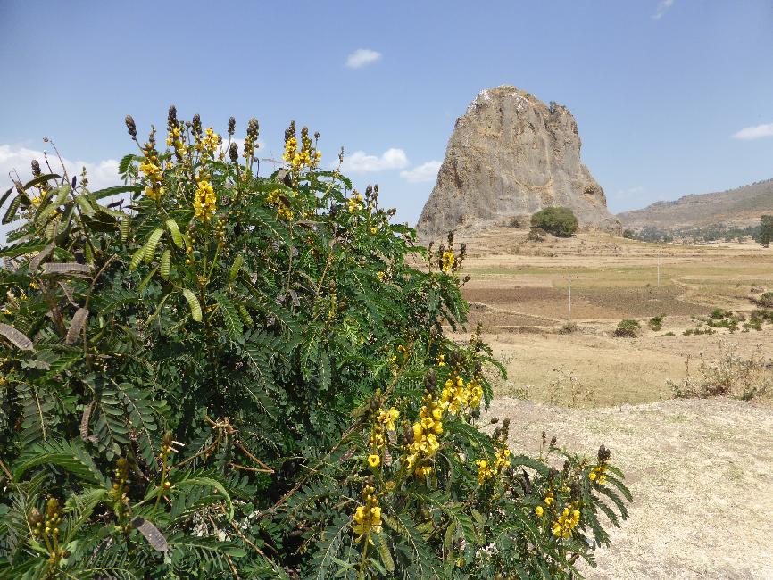Point de vue depuis la route