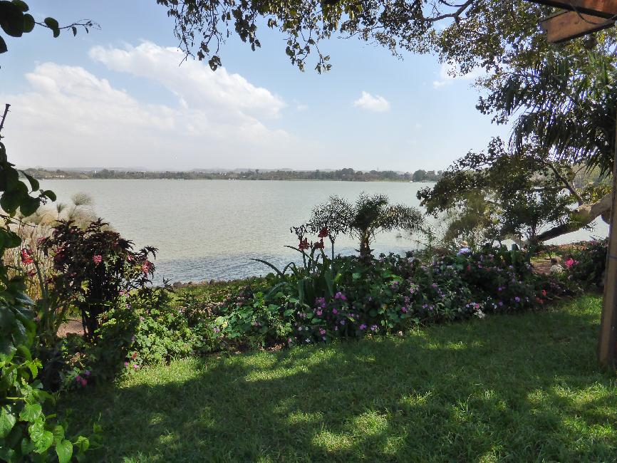 Les rives du lac Tana, à Baher Dar