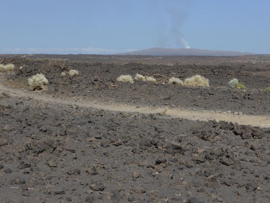 Piste vers l'Erta Ale