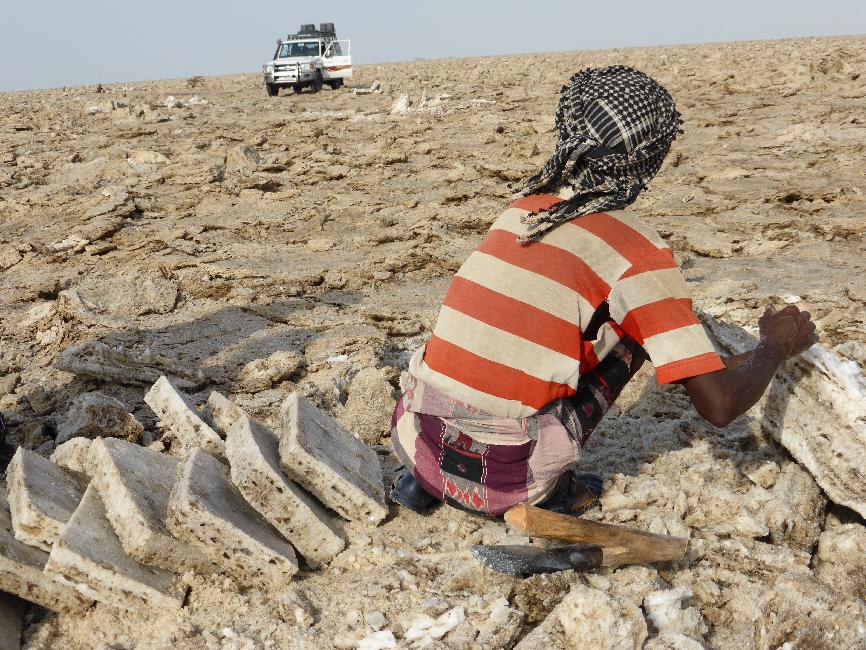 Taille des briques de sel