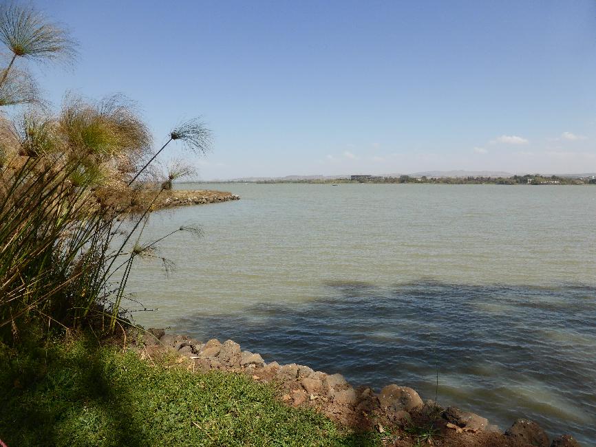 Le lac Tana