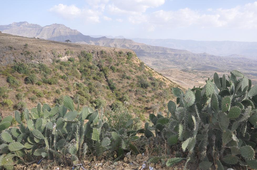 En chemin vers Na'akuto La'ab