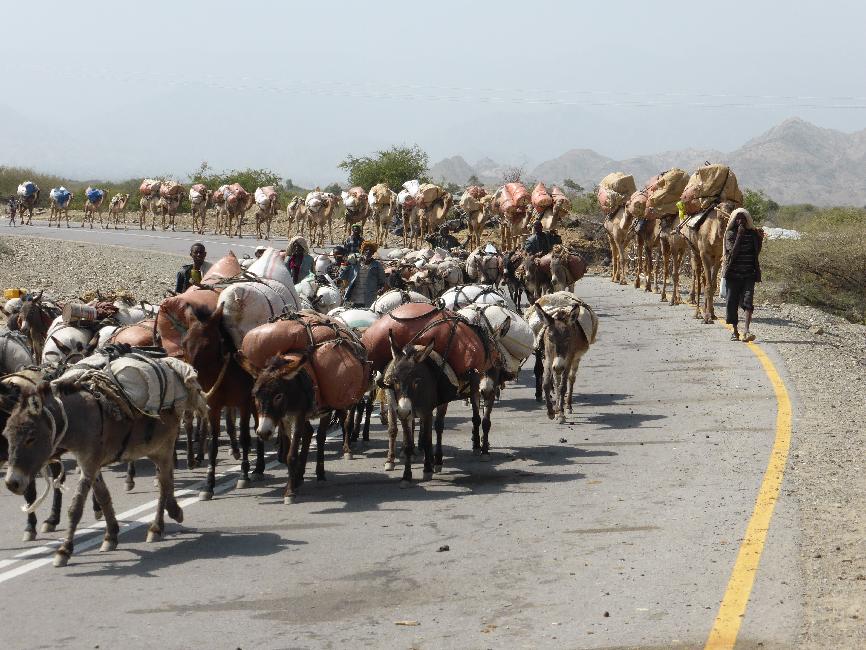 Caravane de retour de Mekele ; garons-nous...