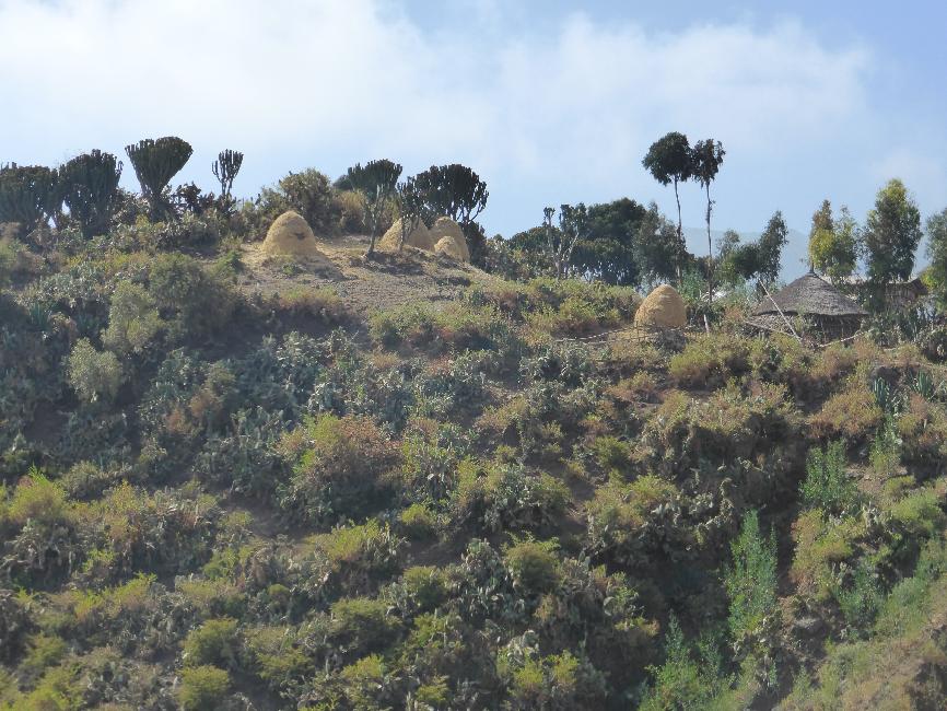 Meules de paille de sorgho, à côté de maisons traditionnelles