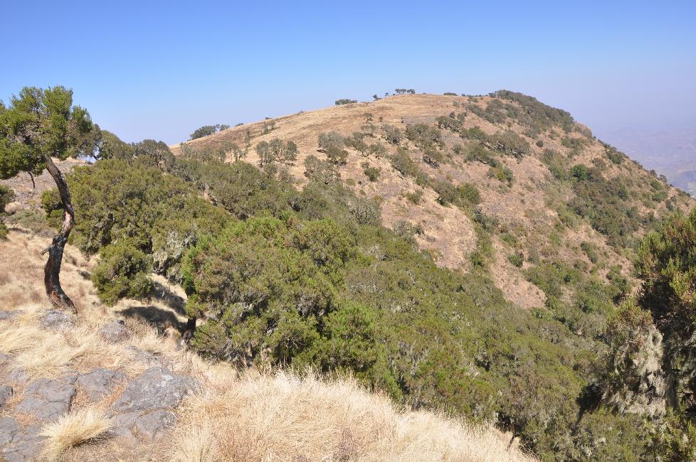 Balade dans le parc, le long des falaises de basalte