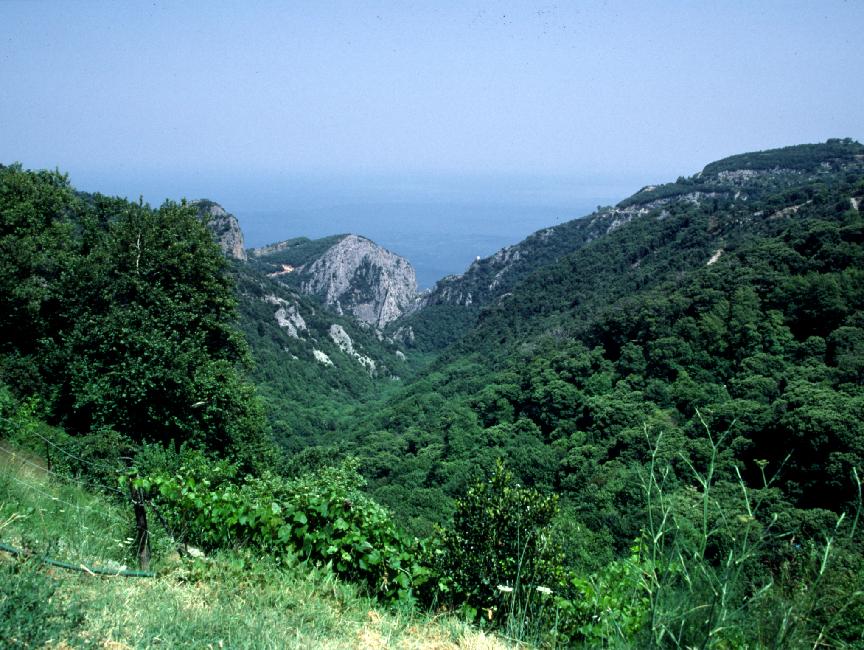 La mer Egée, depuis le Pelion ; dans cette zone, équipée de pistes de ski, il culmine à 1471m