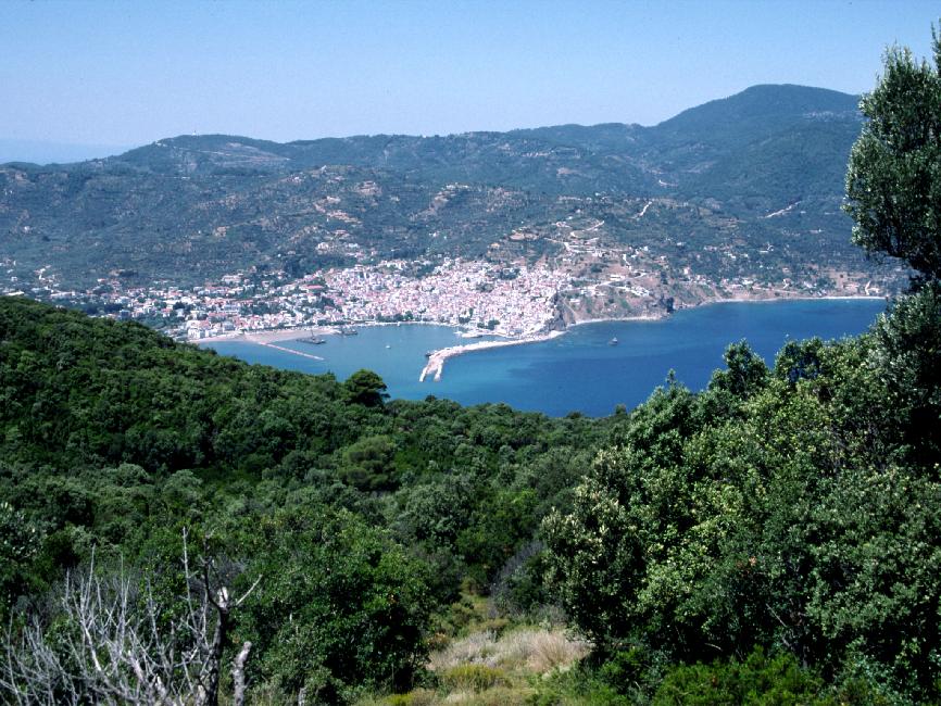 Vue sur la ville de Skopelos