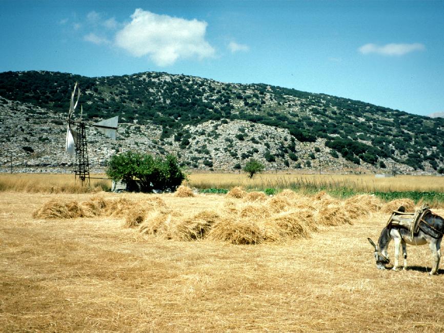 La bordure montagneuse du plateau