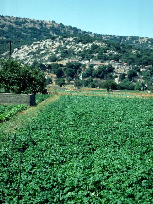 Bien irrigué, ce plateau constitue un oasis au milieu de la montagne
