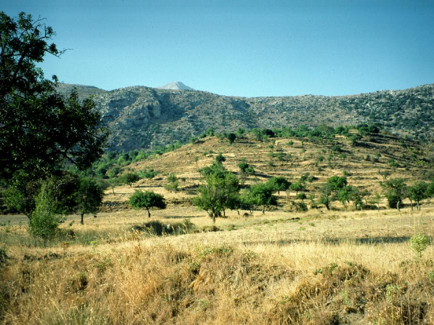 Montée vers le plateau de Katharos