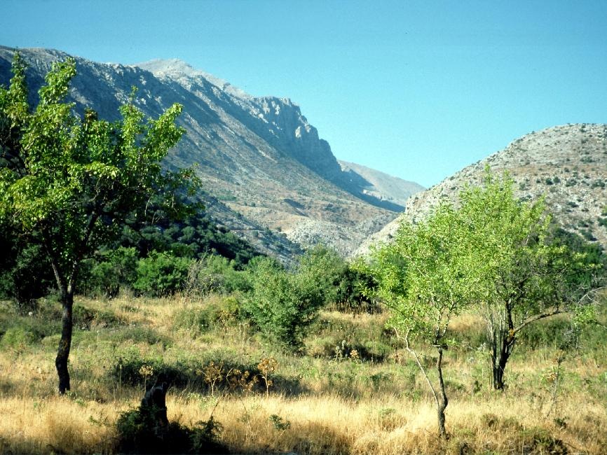 Sur le chemin, entre le plateau de Lassithi et le plateau de Katharos