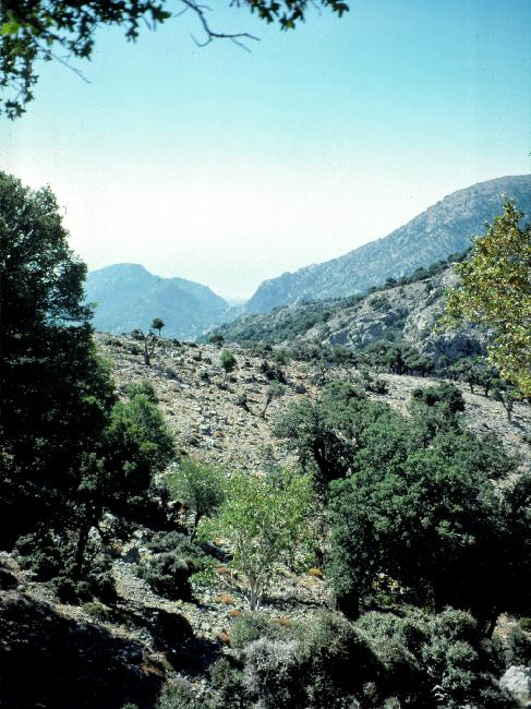 Paysage aux environs de Selakanos