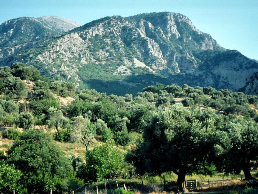 Environs du site archéologique de Gortyne